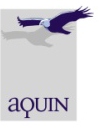 aquin Logo